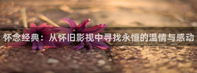 95版包青天吕良伟国语版星空影院